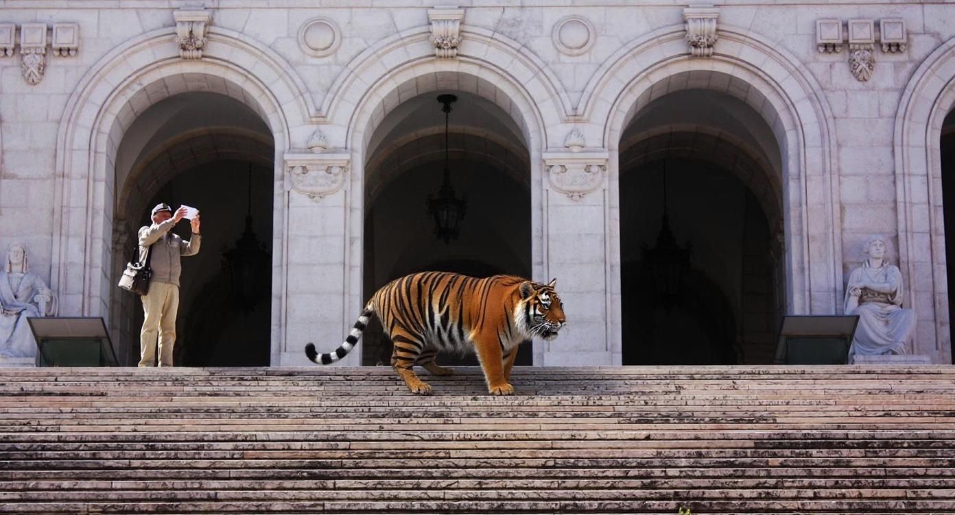 After - Tiger added to the scene