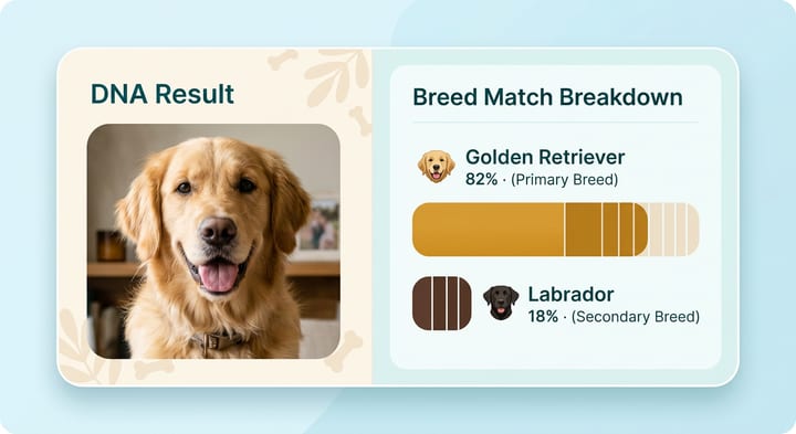 Breed Match — after